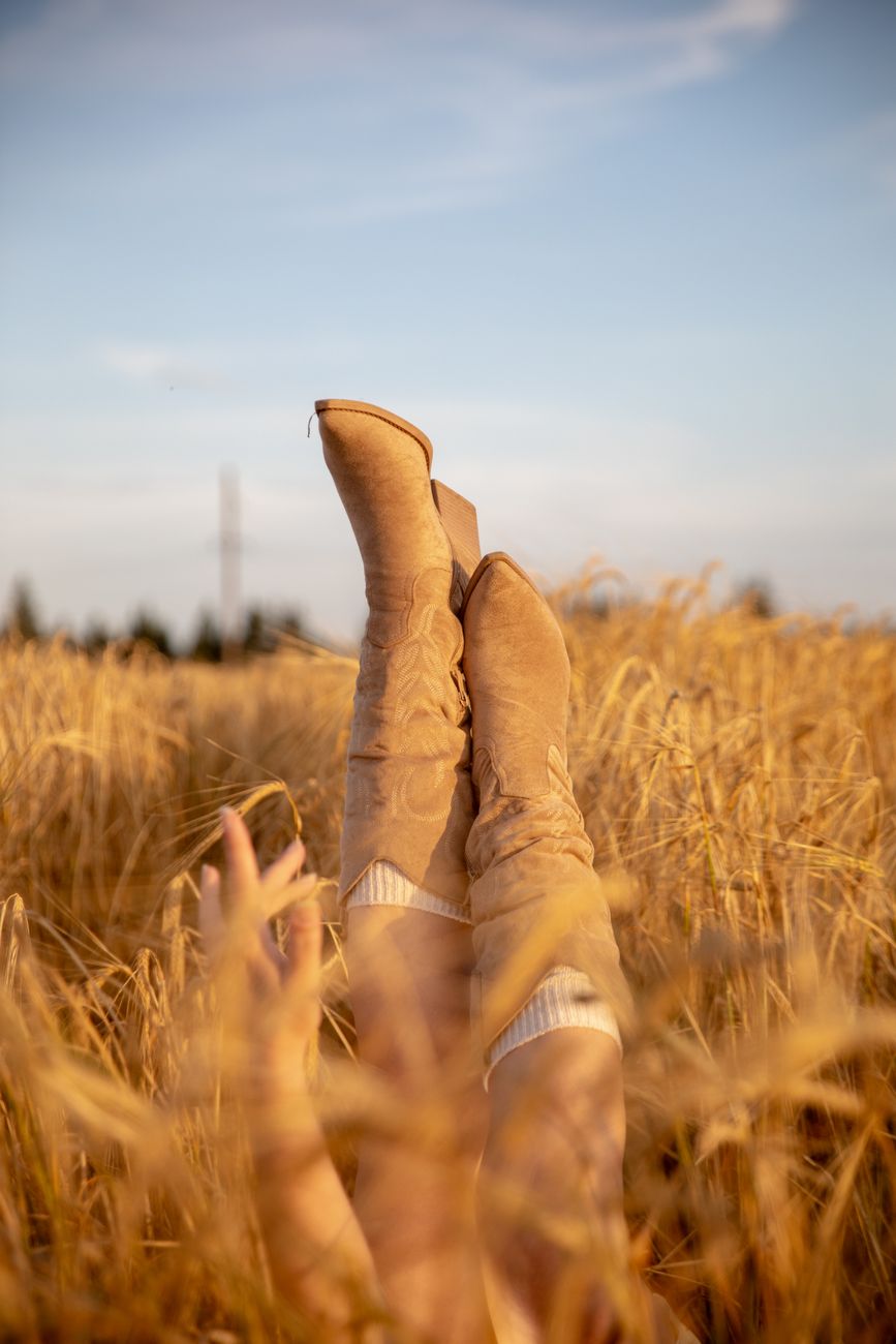stylish cowboy boots in golden wheat field